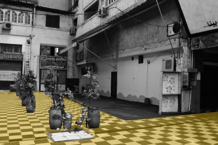 <a class="fancybox" rel="gallery-layering-and-juxtaposition" href="https://www.passageways.clustermappinginitiative.org/sites/default/files/styles/largest/public/4_01_6.jpg?itok=kF6KHGoB" title="Flooring">Enlarge</a><br >Flooring