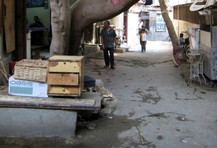 <a class="fancybox" rel="gallery-street-furniture" href="https://www.passageways.clustermappinginitiative.org/sites/default/files/styles/largest/public/c3_5b_01_1.jpg?itok=RjhAIXjP" title="">تكبير</a><br >