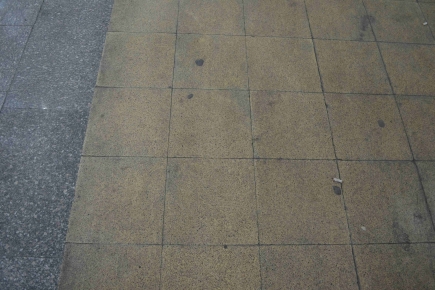<a class="fancybox" rel="gallery-materials-and-textures" href="https://www.passageways.clustermappinginitiative.org/sites/default/files/styles/largest/public/dsc_0234_01.jpg?itok=fXUqd1ei" title="">Enlarge</a><br >