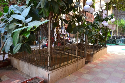 <a class="fancybox" rel="gallery-encroachments-and-territory-markers" href="https://www.passageways.clustermappinginitiative.org/sites/default/files/styles/largest/public/dsc_0389_01.jpg?itok=8owQ9EFw" title="">Enlarge</a><br >