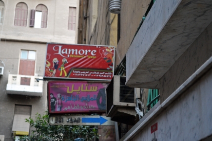 <a class="fancybox" rel="gallery-signage-and-space-annotations" href="https://www.passageways.clustermappinginitiative.org/sites/default/files/styles/largest/public/dsc_0406_01_1.jpg?itok=5JIgKxEH" title="">Enlarge</a><br >