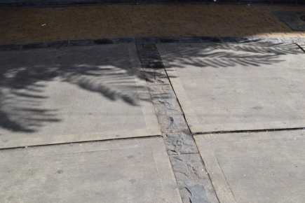 <a class="fancybox" rel="gallery-materials-and-textures" href="https://www.passageways.clustermappinginitiative.org/sites/default/files/styles/largest/public/dsc_0475_01.jpg?itok=64g_t8tM" title="Flooring">Enlarge</a><br >Flooring