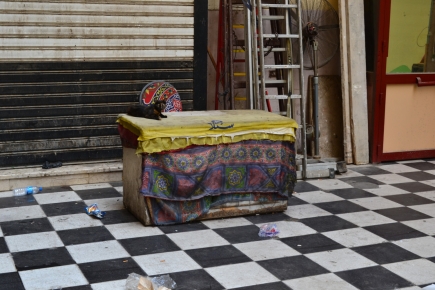 <a class="fancybox" rel="gallery-street-furniture" href="https://www.passageways.clustermappinginitiative.org/sites/default/files/styles/largest/public/dsc_0567_01.jpg?itok=J8ucPOIL" title="">Enlarge</a><br >