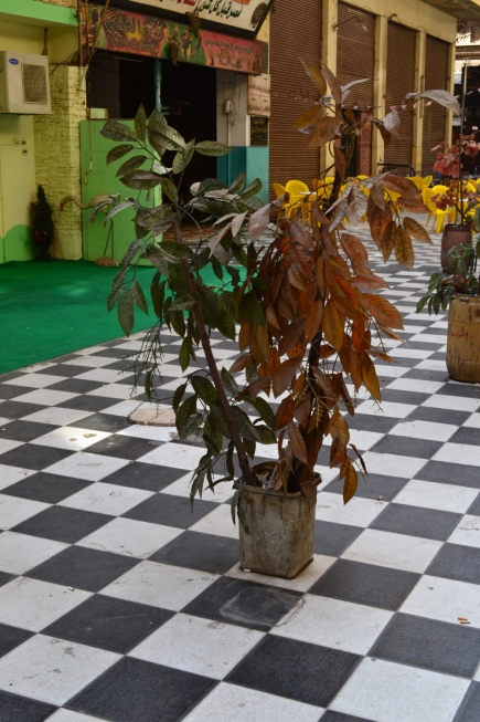 <a class="fancybox" rel="gallery-street-furniture" href="https://www.passageways.clustermappinginitiative.org/sites/default/files/styles/largest/public/dsc_0570_01.jpg?itok=Lt72PhJ0" title="">Enlarge</a><br >