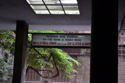 <a class="fancybox" rel="gallery-signage-and-space-annotations" href="https://www.passageways.clustermappinginitiative.org/sites/default/files/styles/largest/public/dsc_0580_01.jpg?itok=5_I3_n_D" title="">Enlarge</a><br >