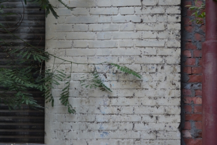 <a class="fancybox" rel="gallery-materials-and-textures" href="https://www.passageways.clustermappinginitiative.org/sites/default/files/styles/largest/public/dsc_0681_01.jpg?itok=7zdIErOz" title="">Enlarge</a><br >
