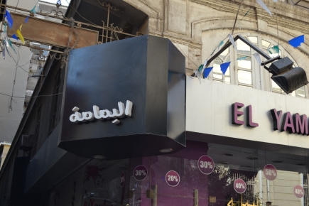 <a class="fancybox" rel="gallery-signage-and-space-annotations" href="https://www.passageways.clustermappinginitiative.org/sites/default/files/styles/largest/public/dsc_0723_01.jpg?itok=T4ZsyCPQ" title="">Enlarge</a><br >