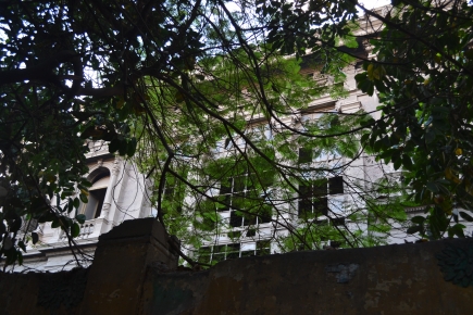 <a class="fancybox" rel="gallery-encroachments-and-territory-markers" href="https://www.passageways.clustermappinginitiative.org/sites/default/files/styles/largest/public/dsc_0724_0.jpg?itok=uI5dLG6v" title="">Enlarge</a><br >