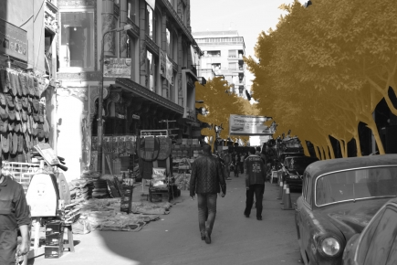 <a class="fancybox" rel="gallery-layering-and-juxtaposition" href="https://www.passageways.clustermappinginitiative.org/sites/default/files/styles/largest/public/dsc_1181_greening_01.jpg?itok=qIZiU9ZW" title="Greening">Enlarge</a><br >Greening