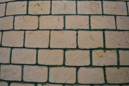 <a class="fancybox" rel="gallery-materials-and-textures" href="https://www.passageways.clustermappinginitiative.org/sites/default/files/styles/largest/public/dsc_1203_01.jpg?itok=0fkKlrQJ" title="Wall structure">Enlarge</a><br >Wall structure