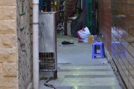 <a class="fancybox" rel="gallery-street-furniture" href="https://www.passageways.clustermappinginitiative.org/sites/default/files/styles/largest/public/dsc_1213b_01.jpg?itok=vLKowTJ5" title="">Enlarge</a><br >